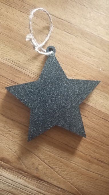 Etoile de noël 